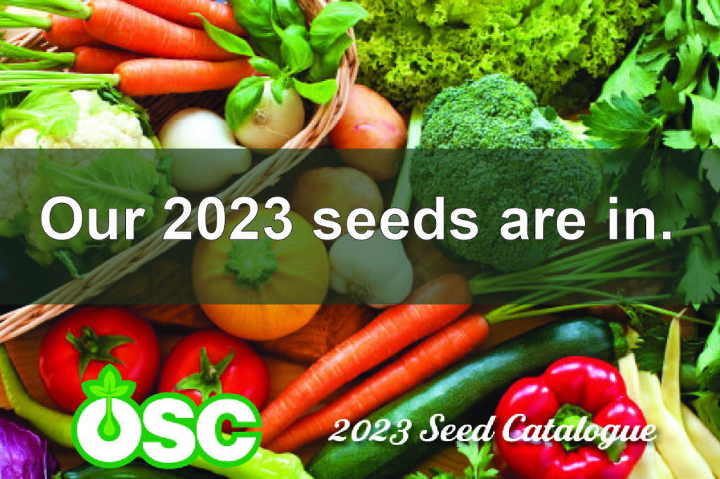 Bridgewater Farmers’ Cooperative Your farm store… and more.