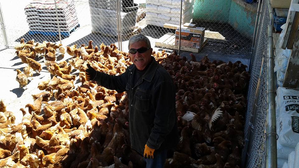 Bridgewater Farmers’ Cooperative Your farm store… and more.